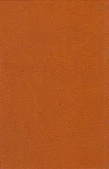 ایزابلا جیبی چرم